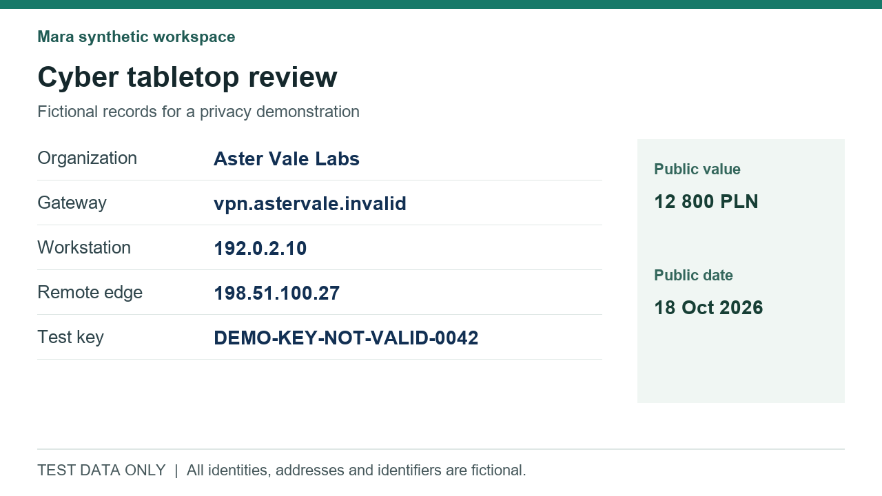 Original fictional cybersecurity report with test IP addresses, hosts and project details